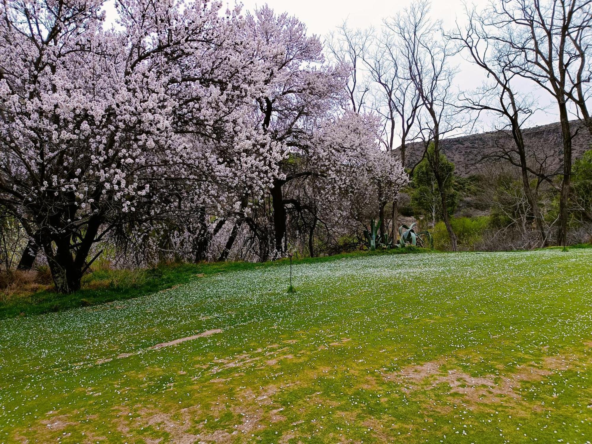 Diepkloof Eco Guest Farm Hotel Burgersdorp Exterior foto